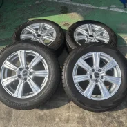 Manaray Sport Euro Speed