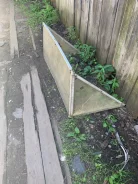 ���� ����