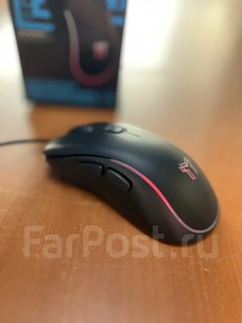 ���� �������. ����