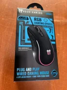 ���� �������. ����