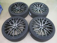 Kyoho Steiner CVX