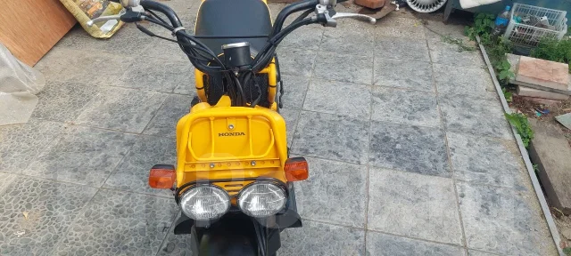 Honda Zoomer. 49����. ��., ��������, ���������, ��� ������� ����
