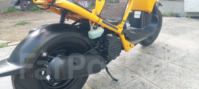 Honda Zoomer. 49����. ��., ��������, ���������, ��� ������� ����