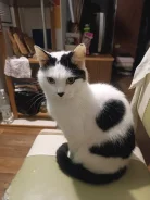 �����. ����