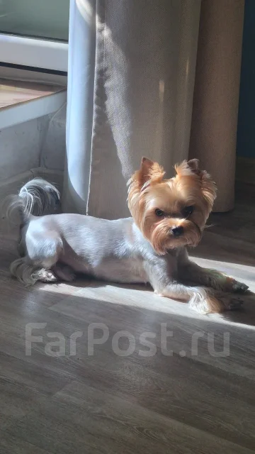 ����� �����. ����