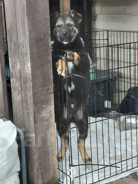 ���� ���� ��� ����