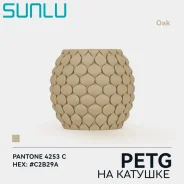 �������� SUNLU PETG Oak ����