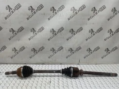 ������ Peugeot Boxer 1608506480 250, �������� ������ 1608506480 ����