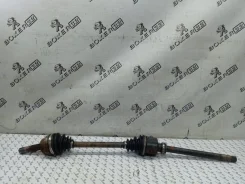 ������ Peugeot Boxer 1608506480 250, �������� ������ 1608506480 ����