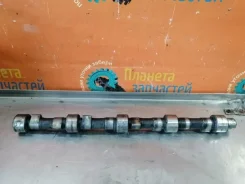 ���������� ��� 3309 �-245 3309 ����