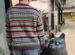 ���� �� ����� ����