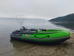 ������ ����� � �������. 2008 ���, ����� 3,7��., ��������� ���������, 9,9��.�., ������ ����
