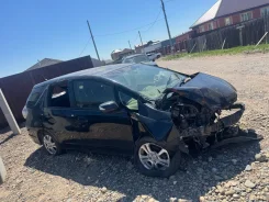 Honda Fit Shuttle ����