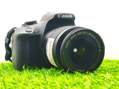 Canon EOS 2000D. 20 � ����� ��, ���: ��� ���� ����