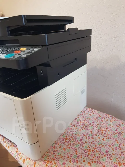 ��� ��������. ����