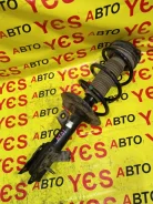 ������ �������� Nissan X-Trail E4302JG01A TNT31 QR25DE, �������� ������ E4302JG01A ����