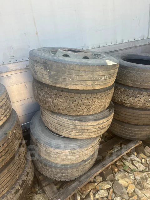 Annaite. ������, �/�, ����� 50 % ����