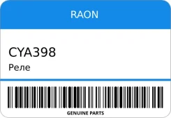 ���� RAON CYA398 CYA398 ����