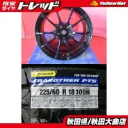 Weds Sport SA-55M