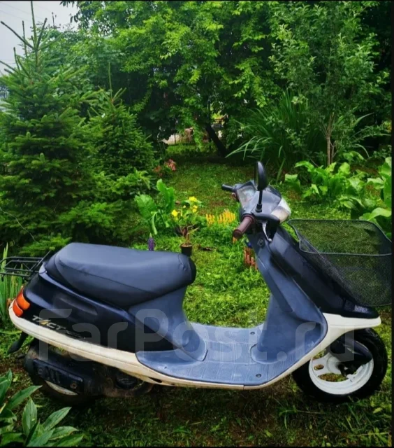 Honda Tact AF-24. 49����. ��., ��������, ���������, ������ �� �� ����