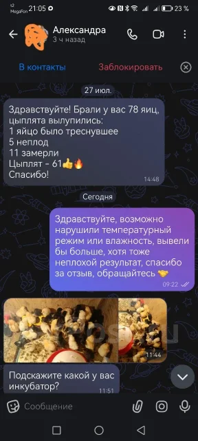 ������������� ���� ���. ����