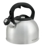 ������ Willmark WTK-3229SS, ������� ����