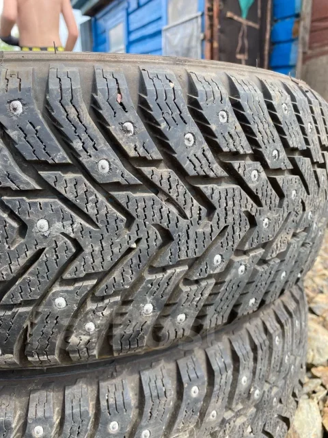 Nordman 8. ������, ����������, �/�, ����� 5 % ����