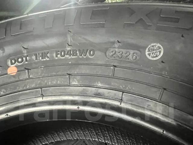 Hilo XS1. �����������, 2026 ���, ����� ����