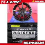 Weds Sport SA-99R