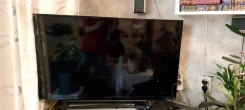 Sony. LED ����