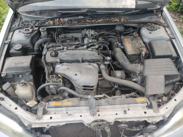 Toyota Vista Ardeo. AZV50G, 1AZFSE ����