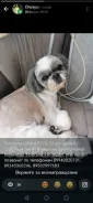 ���������� ������� ������ ���-�� ����