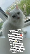 �����. ����