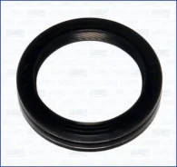 ������� ������������������ ���� (Ajusa) |1| 15080900 15080900 ����
