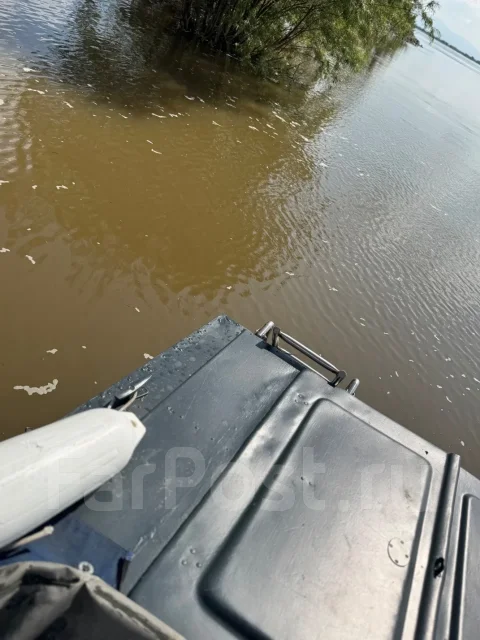 ���� 3. 1993 ���, ����� 5,5��., ��������� ������������, 90��.�., ������ ����