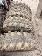 Lakesea Alligator. �����������, 2023 ���, �/�, ����� 30 % ����