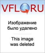 ��������� ���������� Mitsubishi Pajero 2.8 TD (V46W)[4M40] IM854 IM854 ����