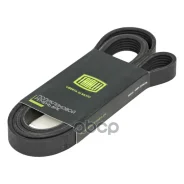 ������ ������������ (6PK2138) ��� �� Hyndai Solaris 1.4,1.6 (6PK2138) Trialli ���. 6PK2138 6PK2138 ����