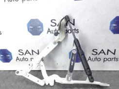 ����� ������ BMW 7 2009 41007204556 F01 N63B44, ������ 41007204556 ����