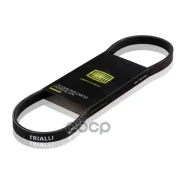 ������ �/� 4PK795 Trialli ���. 4PK795 4PK795 ����