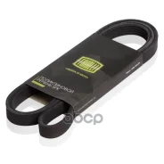 ������ ������������ 5PK1546 Trialli ���. 5PK1546 5PK1546 ����