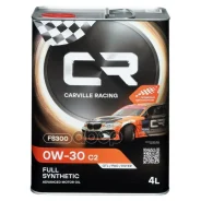 Carville Racing FS300