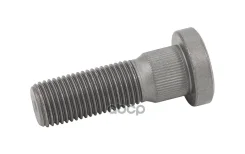 ������� �����. Scania ���.7/8L=82/72/46 1868665/100587/01296E/041396/0�4139650/117134/12751600A/22852�75/309220/40510/71416/8518518S�X/ES950045/M41000...