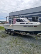 Yamaha F-24. 1990 ���, ����� 7,4��., ��������� ���������, 215��.�., ������ ����