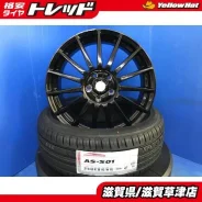 Niche Fortis