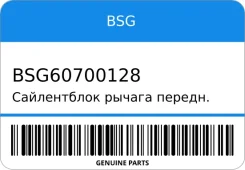 ����������� ������ ������. �������� BSG BSG60700128 BSG60700128 ����