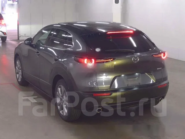 Mazda CX-30. DM8P104844, S8DPTS ����