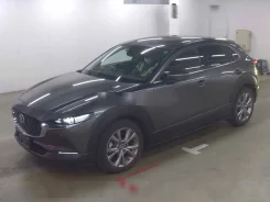 Mazda CX-30. DM8P104844, S8DPTS ����