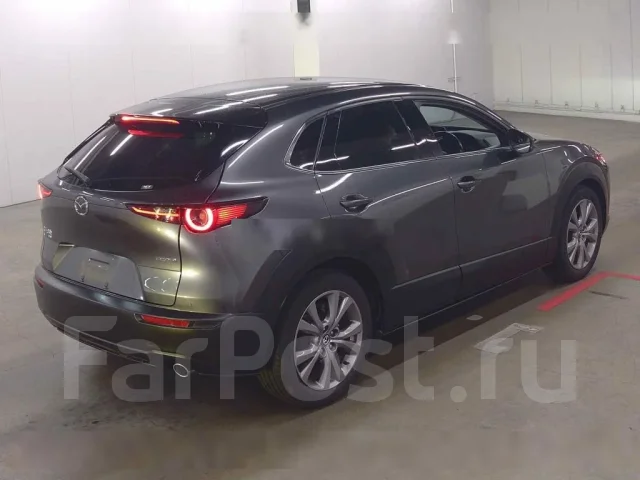 Mazda CX-30. DM8P104844, S8DPTS ����