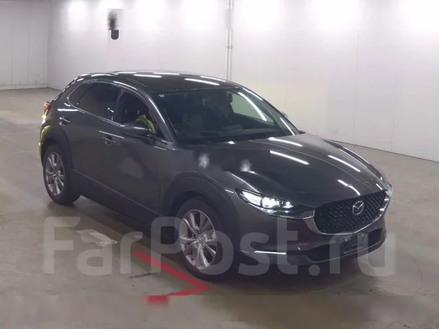 Mazda CX-30. DM8P104844, S8DPTS ����